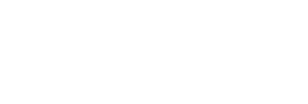 9 BRIDGES